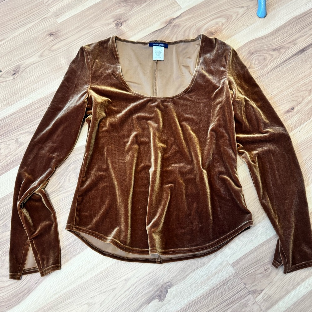 Vintage Boston Proper Velvet Gold Top